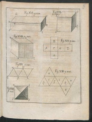 Fig. XVI - Fig. XXII