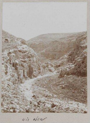 wie oben [vgl. GDIs01192, Hinter chirbet el miktara im wadi es-swenit.]