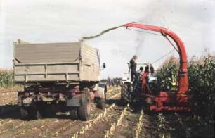 Fotografie: Ernteverfahren, Silomais, Feldhäcksler gezogen, Maisgebiss, Trommelfeldhäcksler, Parallelverfahren, LKW