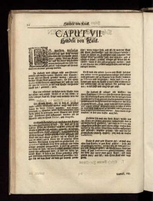 Caput VII. Handelt von Kalck