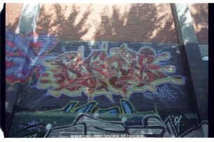 SKoR