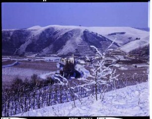 Vogtsburg: verschneiter Kaiserstuhl, Badberg, Vordergrund Reben