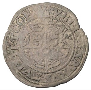 Mecklenburg-Güstrow: Doppelschilling 1567