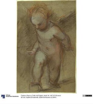 Putto mit Flügeln
