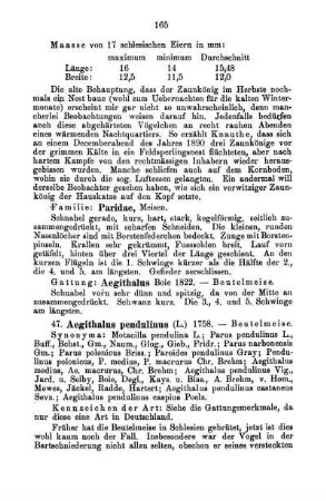 Familie: Paridae, Meisen.