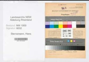 Entnazifizierung Hans Sternemann, geb. 14.07.1901 (Kaufmann)