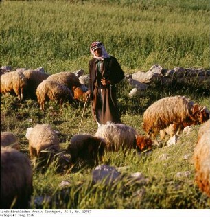 Israel: Samarisches Bergland