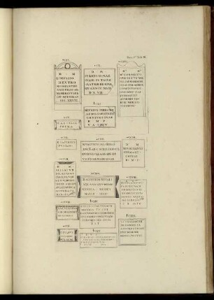 [Abbildung] III. - V.