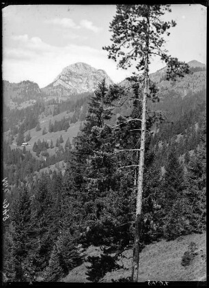 Bayerische Alpen, Blick zum Wendelstein