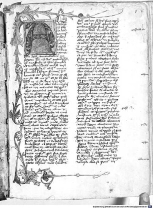 Medizinischer Sammelband (Galeatius de Sancta Sophia, Nicolaus Salernitanus, Mesue Minor, Abulcasis) - BSB Clm 14329