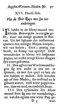 XVI. Hooft-stuk. Van de Beir-Rups met syn veranderingen