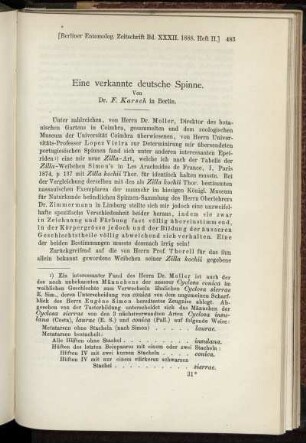 Eine verkannte deutsche Spinne.