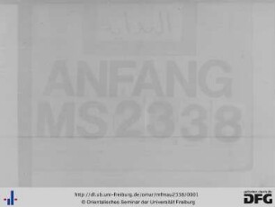 MF Mau 2338