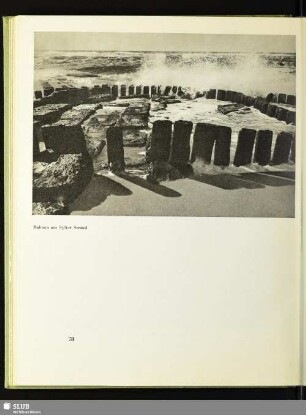 Buhnen am Sylter Strand