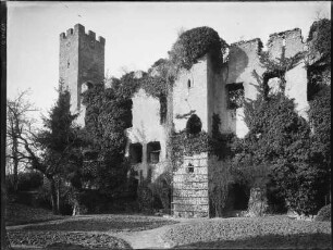 Obergrombach Burg Palas Ansicht von Südosten