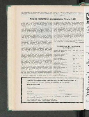 Wenn im Immenhöven die japanische Kirsche blüht
