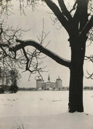 Schloss Moritzburg : Schloss Moritzburg von Westen gesehen. Winterlandschaft