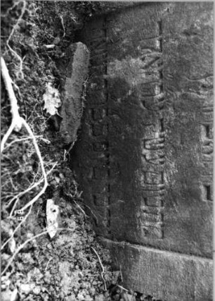 Grabstein 441 (Index: 99752777) Material: Sandstein Zustand: gut, Stele eingesunken Maße HxBxT: 75x56x8 cm Beschreibung: Stele, eingezogener Segmenbogenabschluß, Schriftfeld eingetieft Symbolik: Tulpe: Grabstein 441A