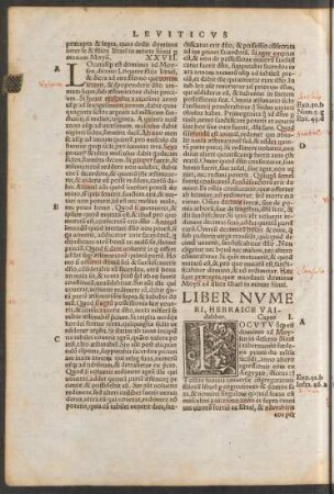 Liber Numeri, Hebraice Vaidabber.
