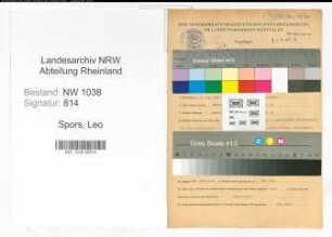 Entnazifizierung Leo Spors , geb. 02.06.1909 (Technischer Angestellter)
