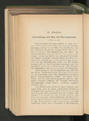 II. Abschnitt. Entwicklung und Bau des Nervensystems.