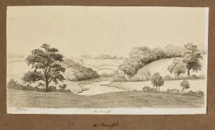 Bei Rosenfeld