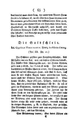 ¬Die¬ Goldschleie : Lat. Cyprinus Tinca auratus ; Franz. La d'Orée d'etang ; (Taf. III, Fig. 20)