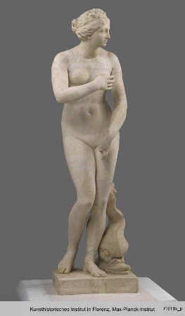Aphrodite (römische Kopie eines hellenistischen Originals)