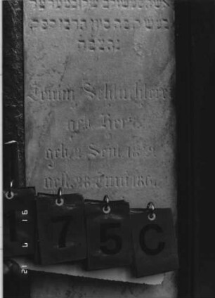 Grabstein 175 [Hahn S. 77f. Grab-Nr. 1455]: Grabstein 175C [Hahn S. 77f. Grab-Nr. 1455]