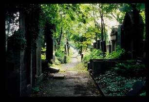 Jüdischer Friedhof 14.7.75.