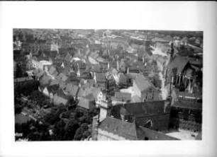 Torgau