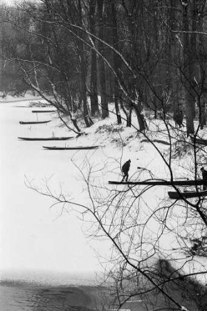 Winterlicher Altrhein