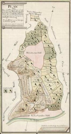 Plan über den zur Pfleeg Schoenau gehoerigen, bei Michelbuch und Neckarhausen gelegenen Wald