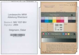 Entnazifizierung Oskar Delgmann , geb. 03.08.1892 (Reg.Rat)