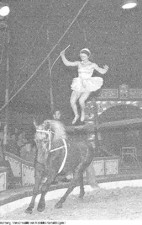 Dresden, Gastspiel des Zirkus Busch, Juni 1956