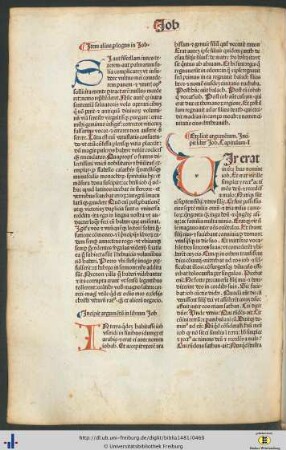 Argumentum in librum Job