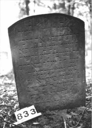 Grabstein 833 (Index: 99899239) Material: Sandstein Zustand: unten stark verwittert Maße HxBxT: 79x57x8 cm Beschreibung: Stele mit Segmentbogenabschluss, im Bogenfeld Schofar und Levitenkanne Symbolik: Schofar, Levitenkanne Besonderheit: kulturhistorisch wertvoll / hist.-wiss. Gründe (Gemeidestellung): Grabstein 833 (2)