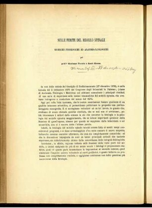 Sulle Ferite Del Midollo Spinale