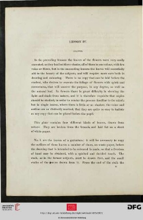 Lesson IV. Leaves
