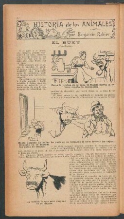 El buey - (Conclusión) : Historia de los animales