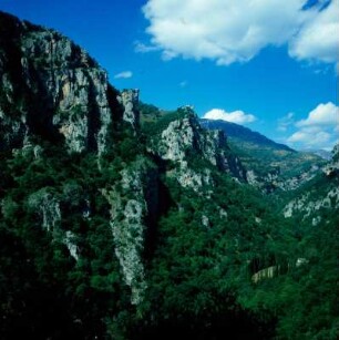 Peloponnes. Lousios-Schlucht in Arkadien