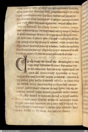 Augustinus - Gregorius Magnus