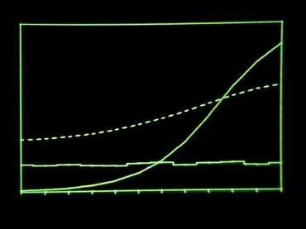 Aktivator-Inhibitor - Ein Modell zur biologischen Musterbildung