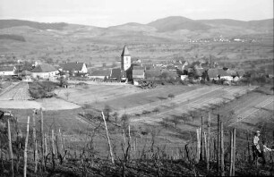 Burkheim: Blick vom Burgberg auf Weinberg und Burkheim