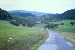Straße, teilweise Obstallee, Schafherde, hinten der Bleßberg
