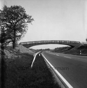 Ostring: 2. Abschnitt: links und rechts Böschung: links Baum: hinten Mitte Pkws: dahinter Fußgängerbrücke zwischen Starweg und Elchweg