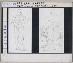 Albrecht Dürer: Männlicher Akt mit Löwen. Lemberg
