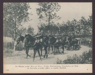 Die Schlacht zwischen Aisne und Marne. Deutsche Munitionskolonne, Mannschaften und Pferde mit Gasmasken ausgerüstet, passiert ein vergastes Waldstück.