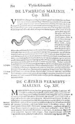 De Caeteris Vermibus Marinis. Cap. XIV.