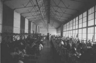 Tabakpflanzen Sortierung (Exkursion: Niederländisch-Indien 1938)